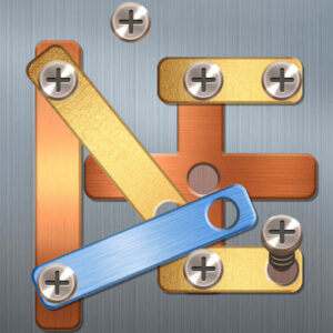 Solve engaging screw-driving puzzles in this interactive game.